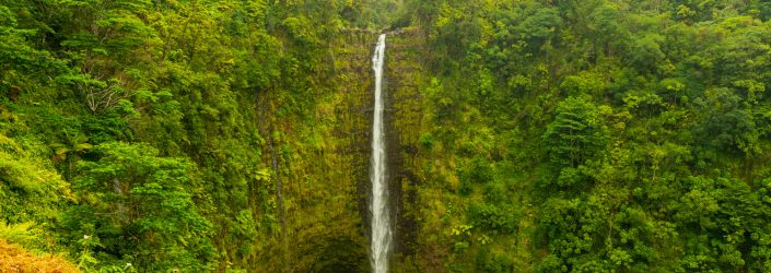 Akaka Falls on the Big Island of Hawaii