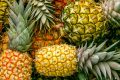 Fruit at a Big Island Farmers Market
