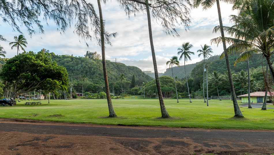 Laupahoehoe Point Beach Park Grassy Area with Pavilions and Picnic Tables