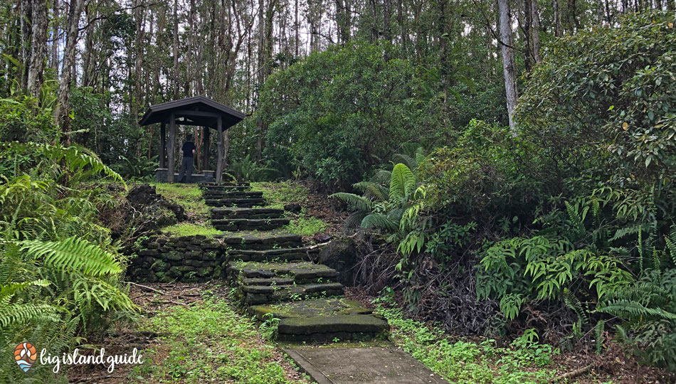 A Pavilion at the top of a stairway at Lava Tree State Park