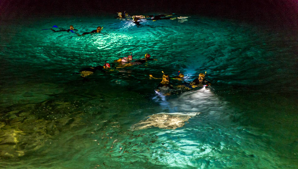 Manta Rays at Mauna Kea Beach Resort